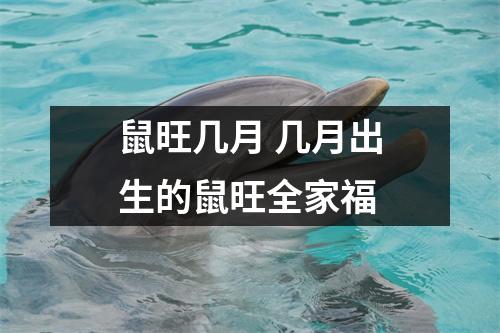 <h3>鼠旺几月几月出生的鼠旺全家福
