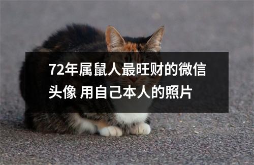 <h3>72年属鼠人旺财的微信头像用自己本人的照片
