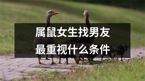 <h3>属鼠女生找男友重视什么条件