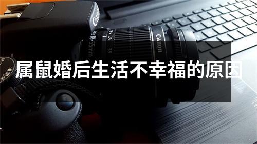 <h3>属鼠婚后生活不幸福的原因
