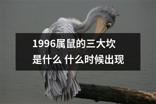 1996属鼠的三大坎是什么什么时候出现