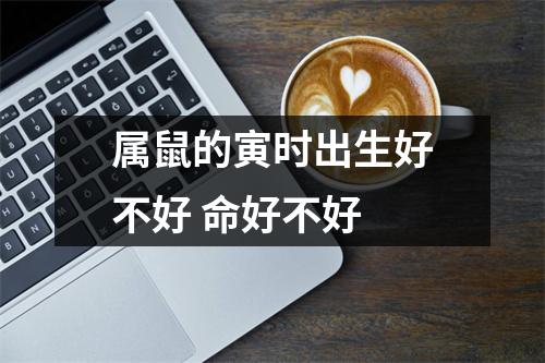 <h3>属鼠的寅时出生好不好命好不好