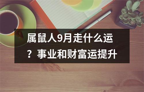 <h3>属鼠人9月走什么运？事业和财富运提升