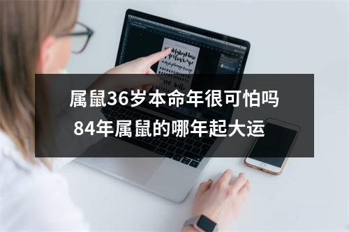 属鼠36岁本命年很可怕吗84年属鼠的哪年起大运