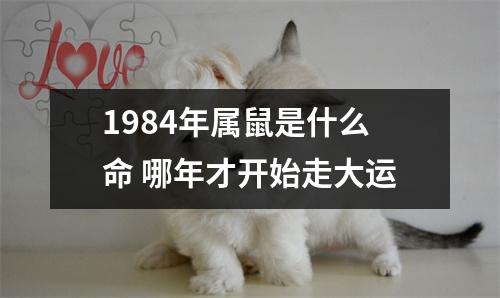 <h3>1984年属鼠是什么命哪年才开始走大运