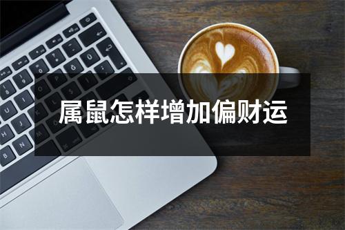 <h3>属鼠怎样增加偏财运