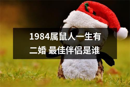 1984属鼠人一生有二婚佳伴侣是谁