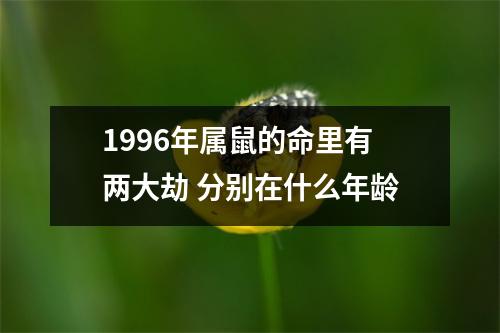 1996年属鼠的命里有两大劫分别在什么年龄