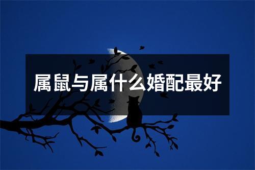 属鼠与属什么婚配好