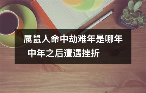 属鼠人命中劫难年是哪年中年之后遭遇挫折