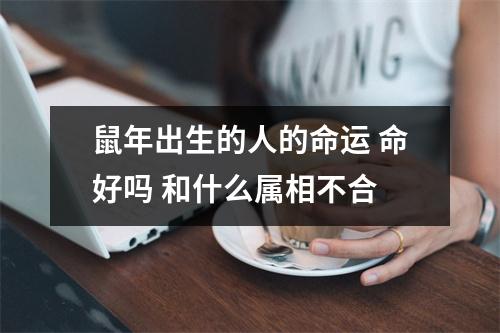 鼠年出生的人的命运命好吗和什么属相不合