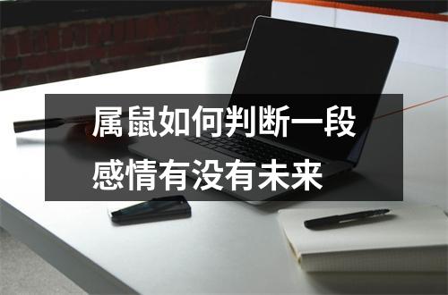 属鼠如何判断一段感情有没有未来