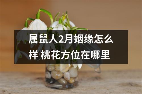 属鼠人2月姻缘怎么样桃花方位在哪里