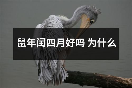 鼠年闰四月好吗为什么