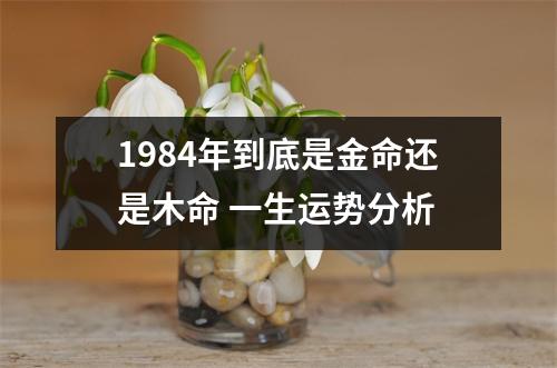 1984年到底是金命还是木命一生运势分析