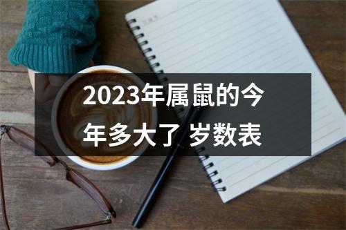 2025年属鼠的今年多大了岁数表