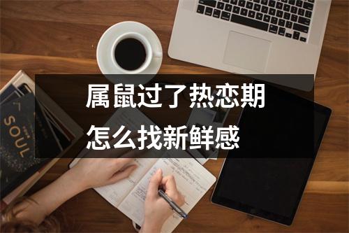 属鼠过了热恋期怎么找新鲜感