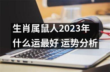 <h3>生肖属鼠人2025年什么运好 运势分析