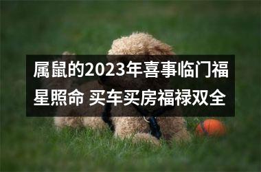 <h3>属鼠的2025年喜事临门福星照命 买车买房福禄双全