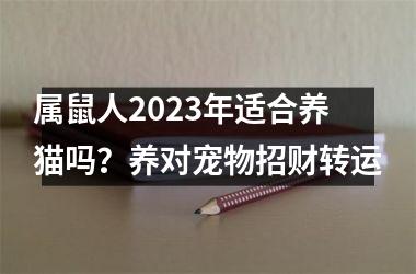 属鼠人2025年适合养猫吗？养对宠物招财转运