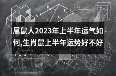 <h3>属鼠人2025年上半年运气如何,生肖鼠上半年运势好不好