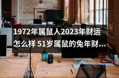 1972年属鼠人2025年财运怎么样 51岁属鼠的兔年财气好吗(1972年属鼠人2025年财运)