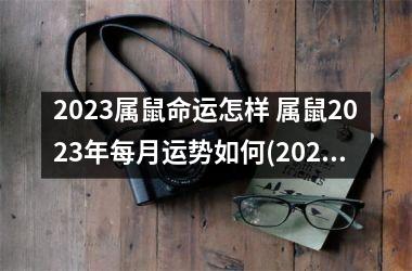 2025属鼠命运怎样 属鼠2025年每月运势如何(2025属鼠女全年运势1984)