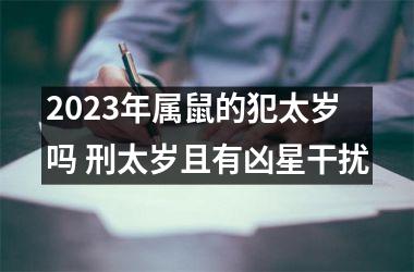 2025年属鼠的犯太岁吗 刑太岁且有凶星干扰