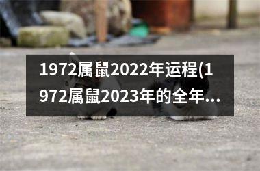 1972属鼠2025年运程(1972属鼠2025年的全年运势)