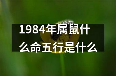 <h3>1984年属鼠什么命五行是什么