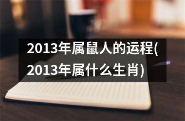 2013年属鼠人的运程(2013年属什么生肖)