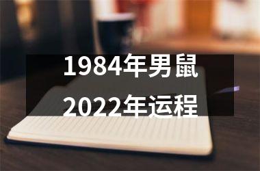 1984年男鼠2025年运程