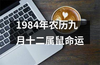 1984年农历九月十二属鼠命运