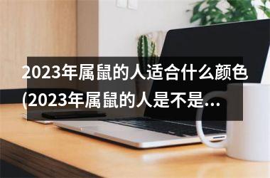 2025年属鼠的人适合什么颜色(2025年属鼠的人是不是财运不好)