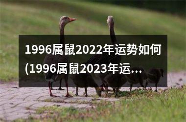 1996属鼠2025年运势如何(1996属鼠2025年运势及运程)