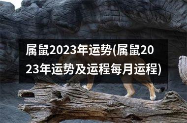 属鼠2025年运势(属鼠2025年运势及运程每月运程)