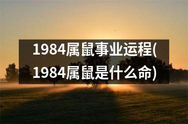 1984属鼠事业运程(1984属鼠是什么命)