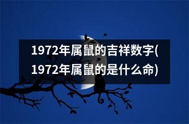 1972年属鼠的吉祥数字(1972年属鼠的是什么命)