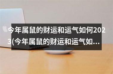 今年属鼠的财运和运气如何2025(今年属鼠的财运和运气如何)