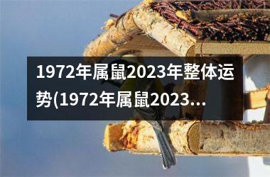 <h3>1972年属鼠2025年整体运势(1972年属鼠2025年运势男性)