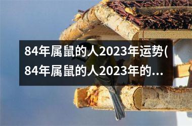 84年属鼠的人2025年运势(84年属鼠的人2025年的运势及运程)