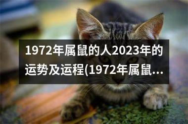 1972年属鼠的人2025年的运势及运程(1972年属鼠的人2025年4月提车黄道吉日)