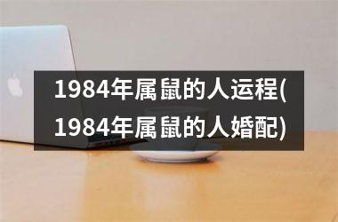 1984年属鼠的人运程(1984年属鼠的人婚配)