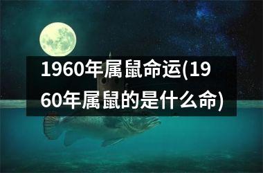 1960年属鼠命运(1960年属鼠的是什么命)