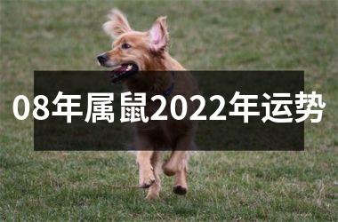 08年属鼠2025年运势