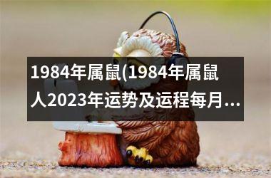 1984年属鼠(1984年属鼠人2025年运势及运程每月运程)