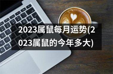 2025属鼠每月运势(2025属鼠的今年多大)