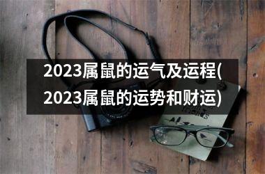 2025属鼠的运气及运程(2025属鼠的运势和财运)