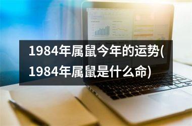 1984年属鼠今年的运势(1984年属鼠是什么命)