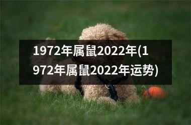 <h3>1972年属鼠2025年(1972年属鼠2025年运势)